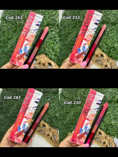 Labial 5 en 1 barra Matte E.B2309